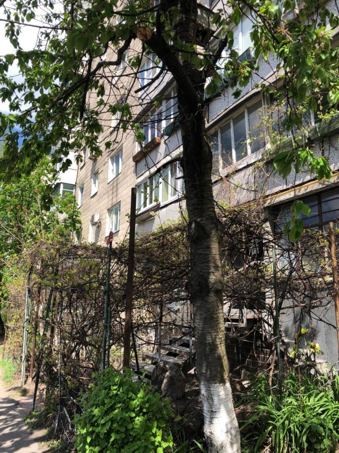 Demeevsky Hostel キエフ エクステリア 写真